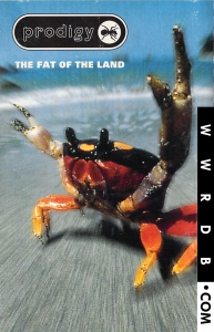 The Prodigy The Fat Of The Land product image photo cover